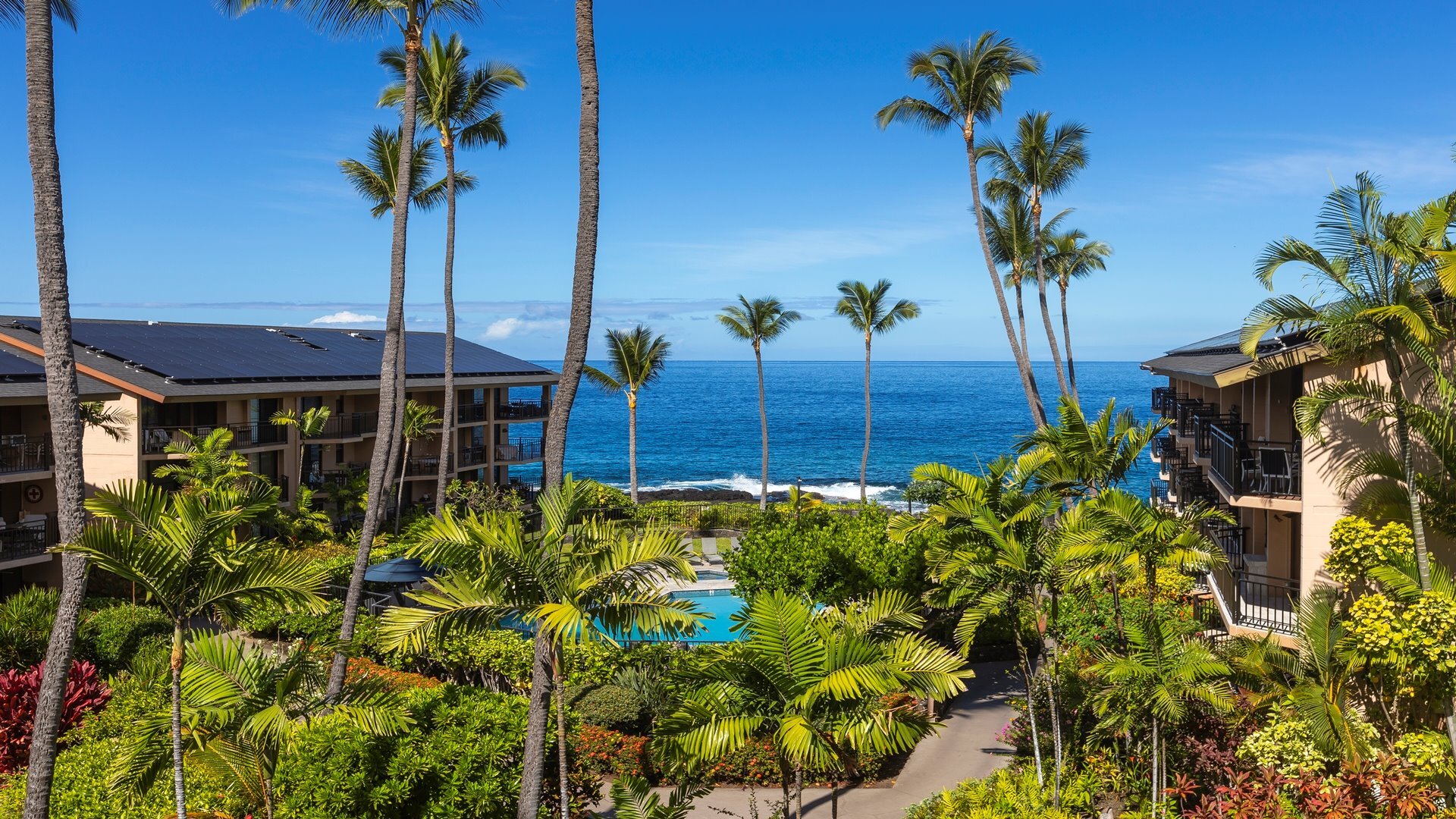 Lanai View