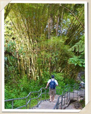 Akaka Falls Stairway Trail