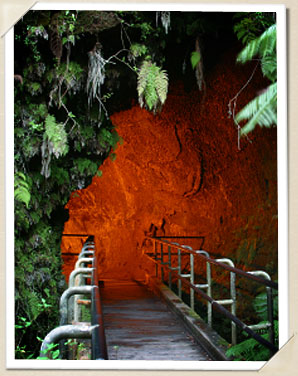 Lava Tube Entrance